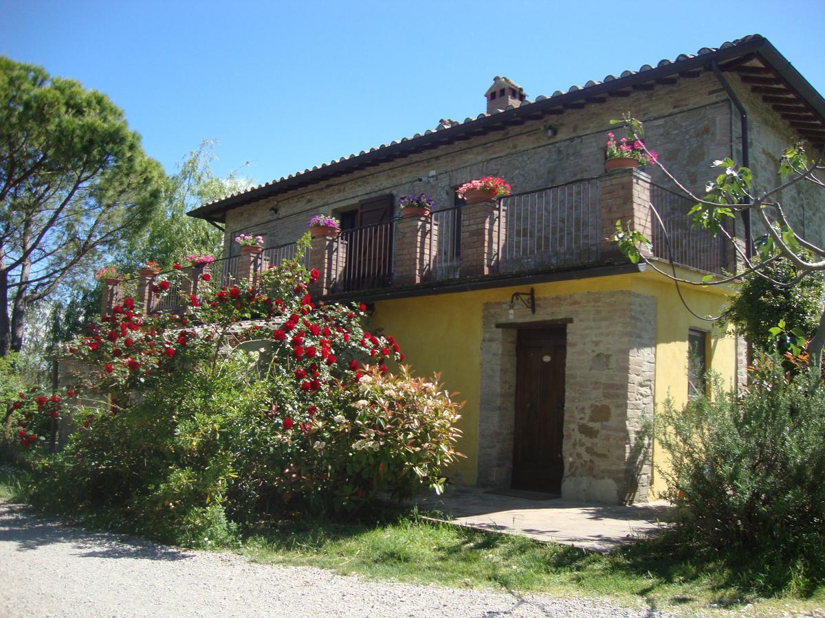Fattoria Il Bruco Villa Pila  Exteriör bild